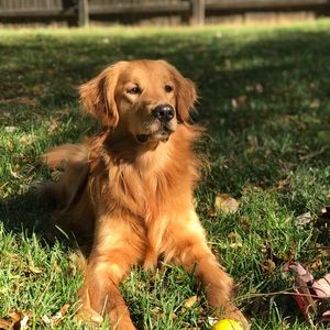 Meet your Posher, Misty